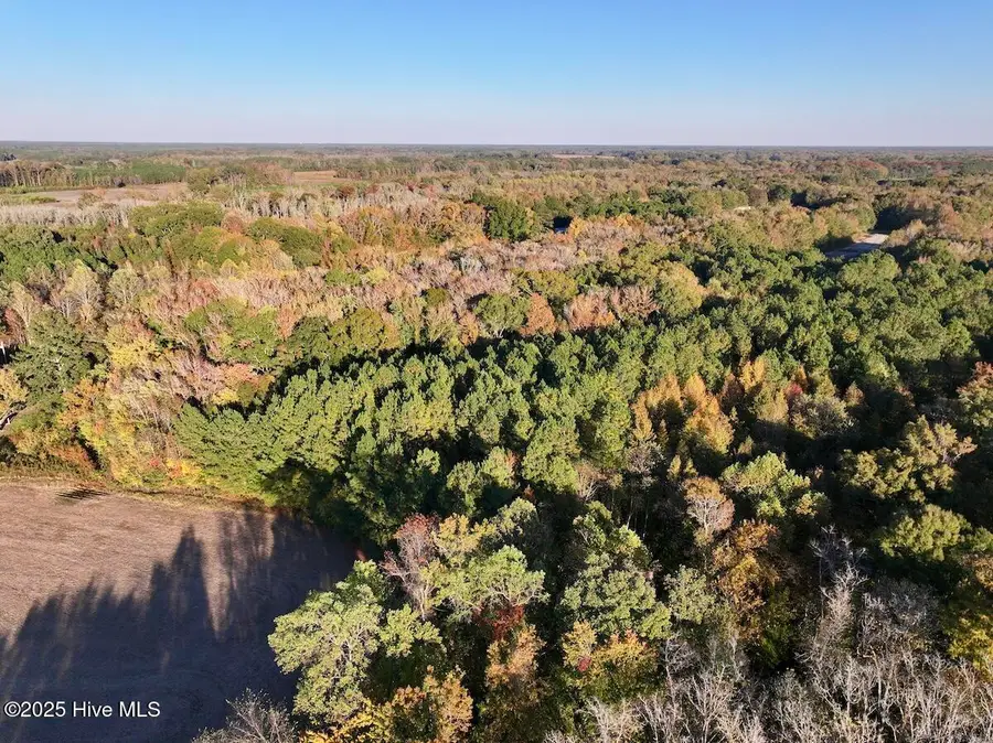 247 Quitsna Road, Windsor, NC 27983 - Image #3