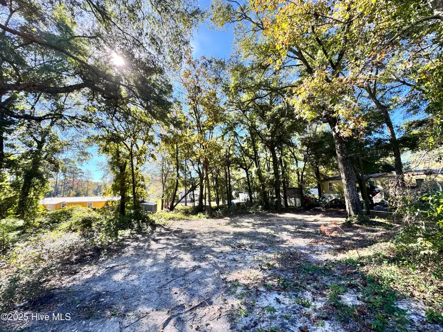 7236 Bo Tuck Road Sw, Ocean Isle Beach, NC 28469 - Image #3