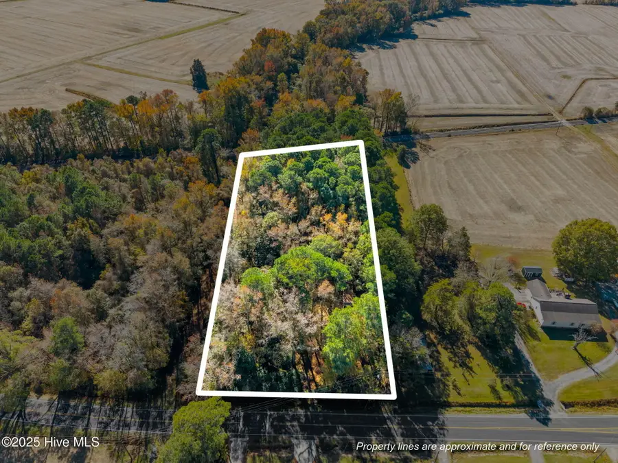 3278 Moye Turnage Road, Farmville, NC 27828 - Image #2