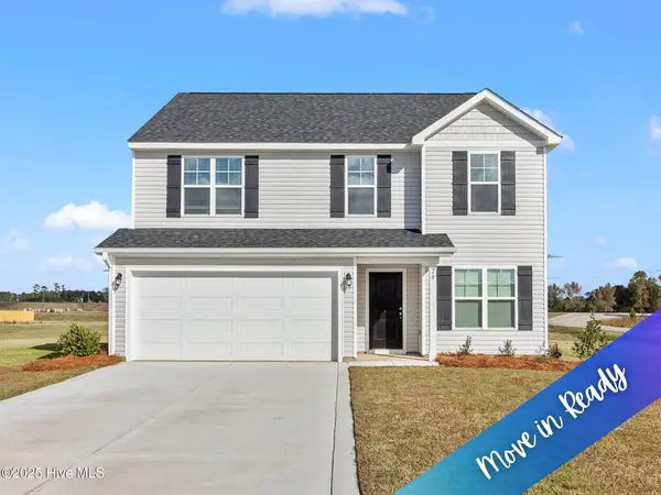 20 Buggy Top Lane, Autryville, NC 28318