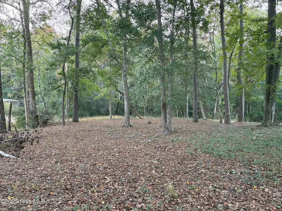 1618 Gores Landing Road Sw, Ocean Isle Beach, NC 28469 - Image #2