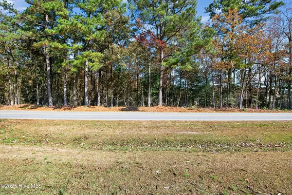 0 Strickland Road, Bailey, NC 27807