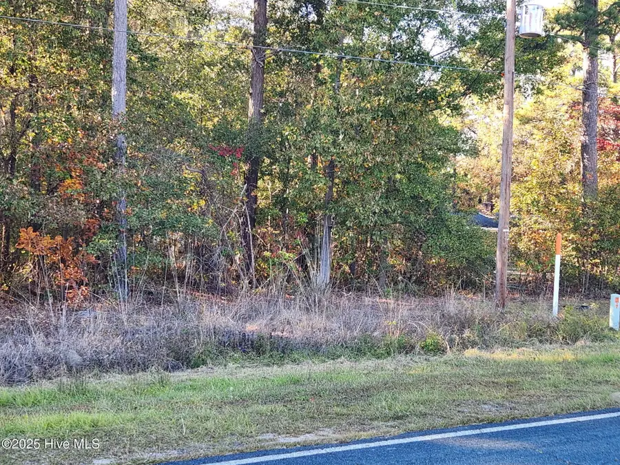 0 Cedar Grove Church Road, Saint Pauls, NC 28384 - Image #3