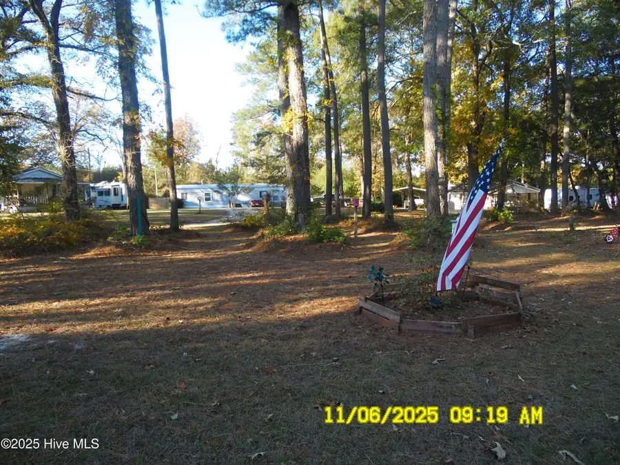 220 Turnage Lane, Dudley, NC 28333 - Image #3