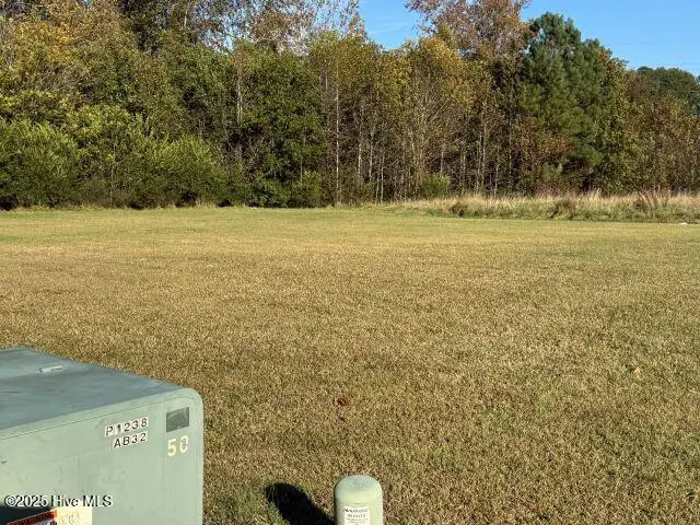 113 Pinewood Drive, Ahoskie, NC 27910 - Image #2