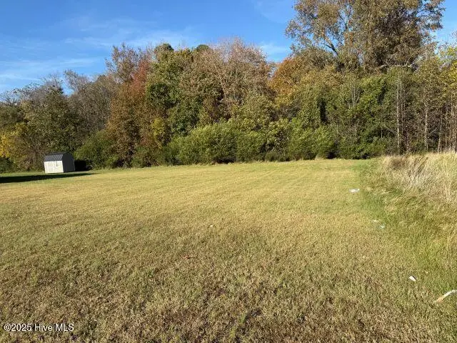 113 Pinewood Drive, Ahoskie, NC 27910 - Image #3