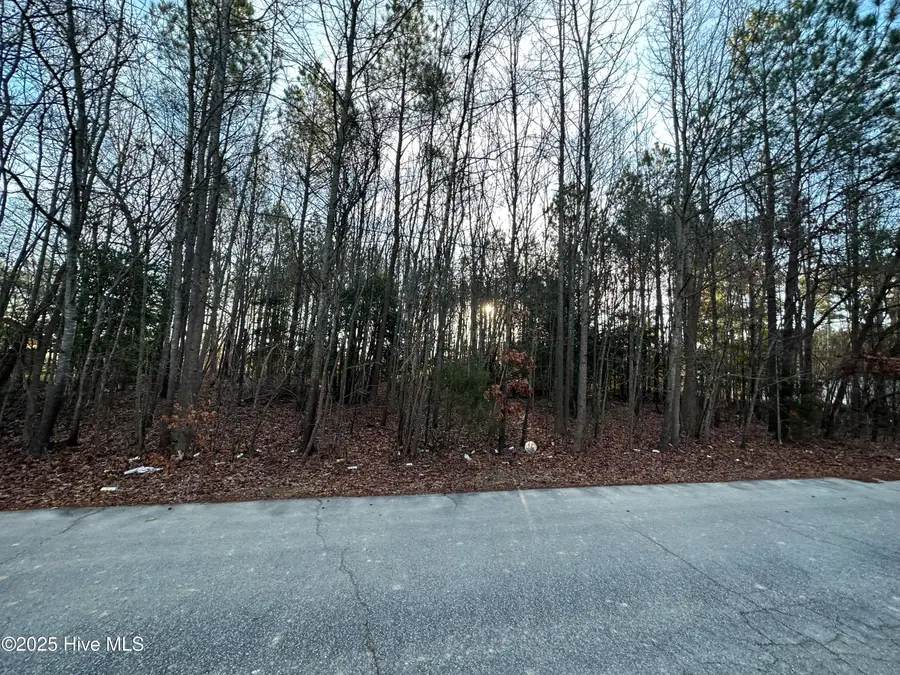 Tbd Pine Street, Conway, NC 27820 - Image #2
