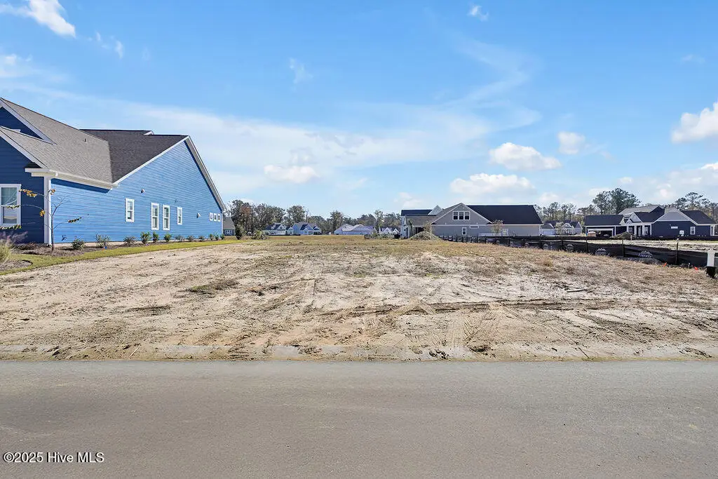 4409 Fantail Drive, Leland, NC 28451 - Image #1