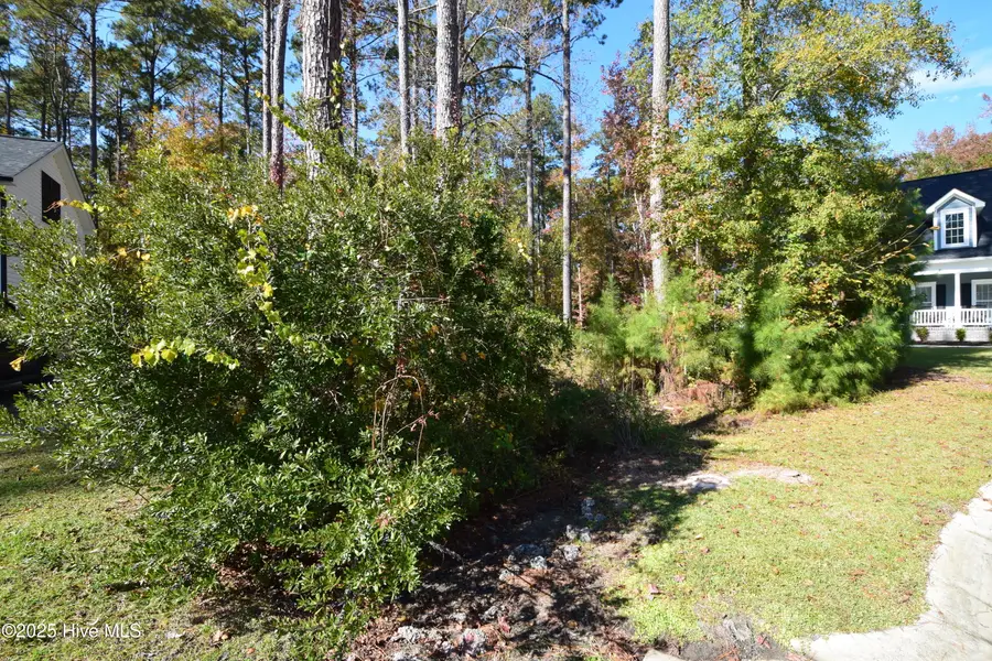 1005 Alabaster Drive, New Bern, NC 28562 - Image #2