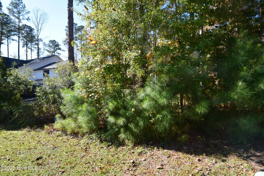 1005 Alabaster Drive, New Bern, NC 28562 - Image #3