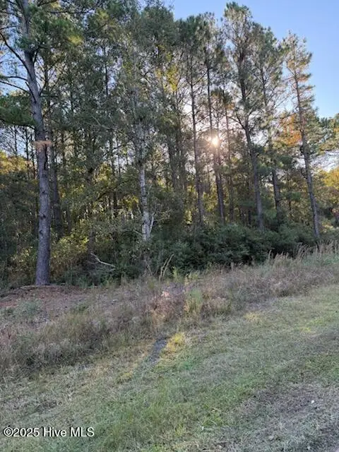 1565 Driftwood Drive Sw, Ocean Isle Beach, NC 28469 - Image #2