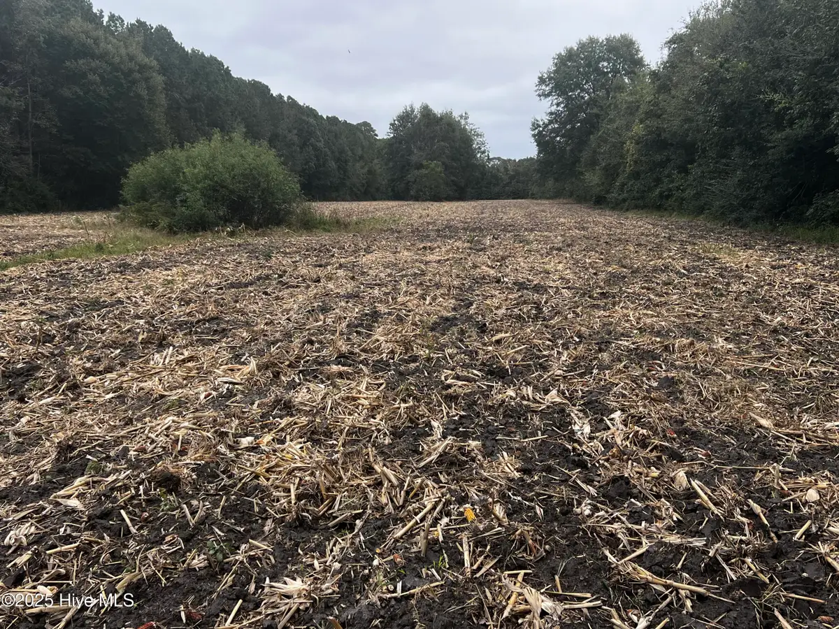 450 Swamp Road, Pantego, NC 27860 - Image #1