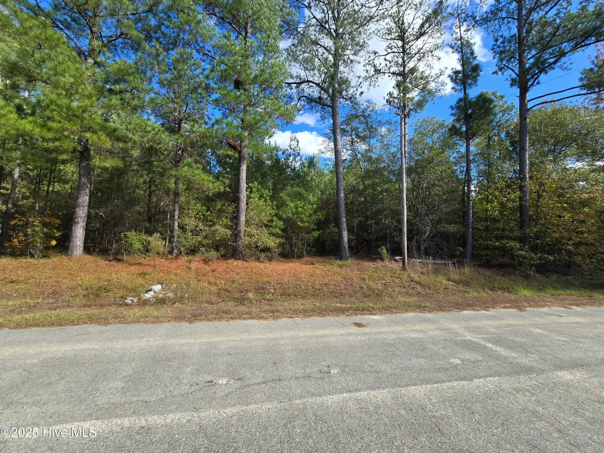 Tbd Sturdivant Drive, Rockingham, NC 28379 - Image #1
