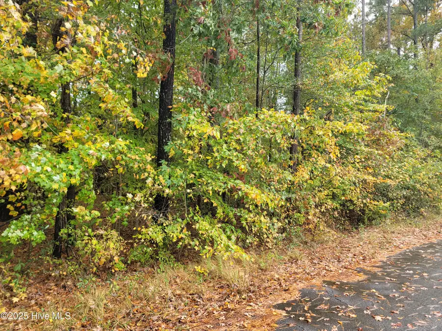 Lot #17 Dogwood Trail, Elizabeth City, NC 27909 - Image #2