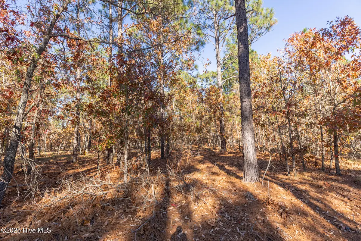 465 Roundabout Road, Carthage, NC 28327 - Image #1