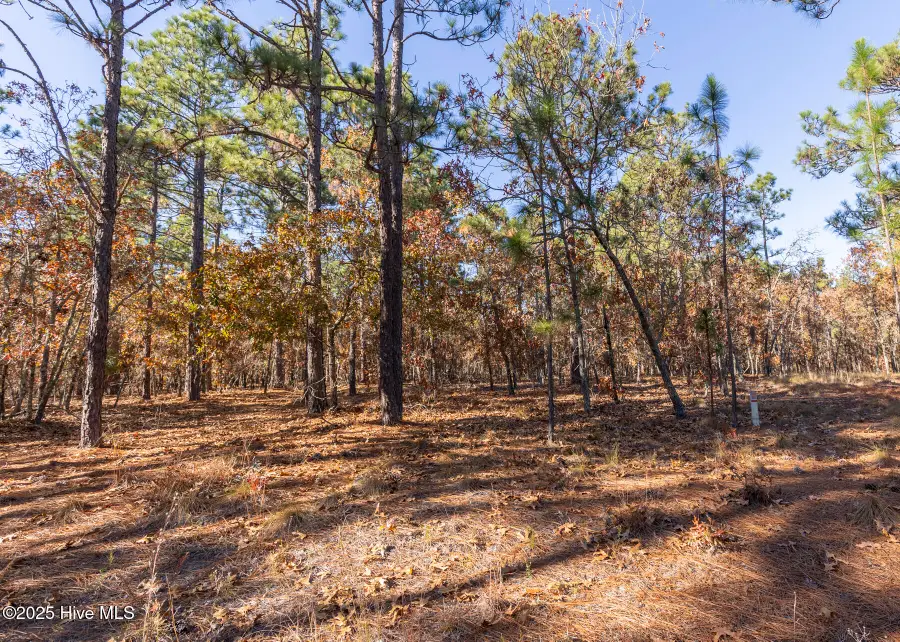 465 Roundabout Road, Carthage, NC 28327 - Image #2