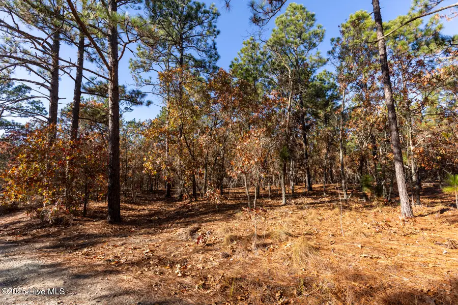 465 Roundabout Road, Carthage, NC 28327 - Image #3