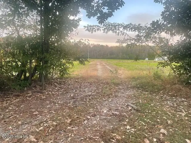 1890 Oneal Road, Whitakers, NC 27891 - Image #2