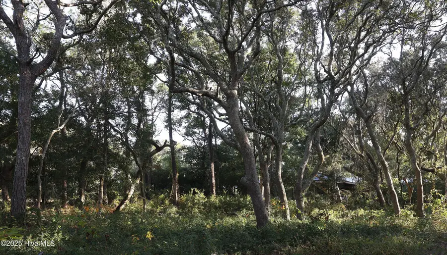 111 SE 78th Street, Oak Island, NC 28465 - Image #3