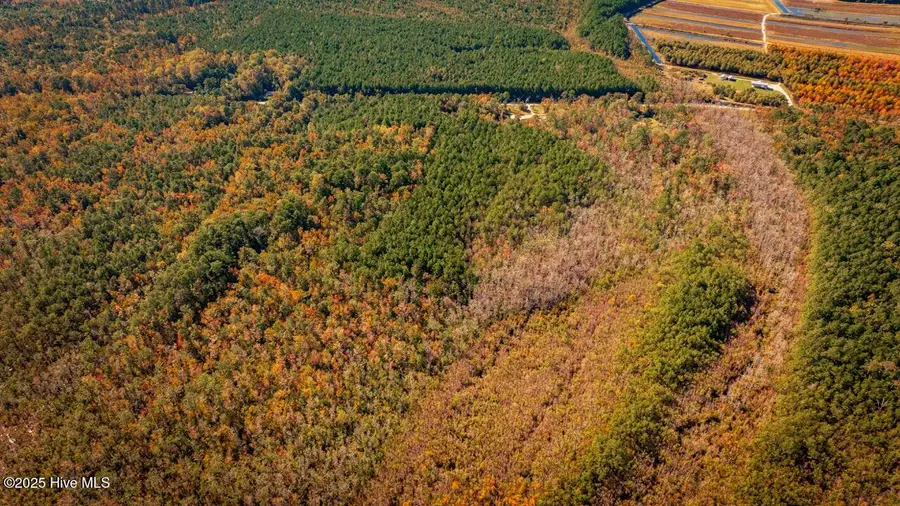 4497 Old Hwy 64, Columbia, NC 27925 - Image #3