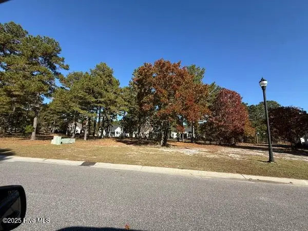 3808 Silver Melon Road Ne, Leland, NC 28451