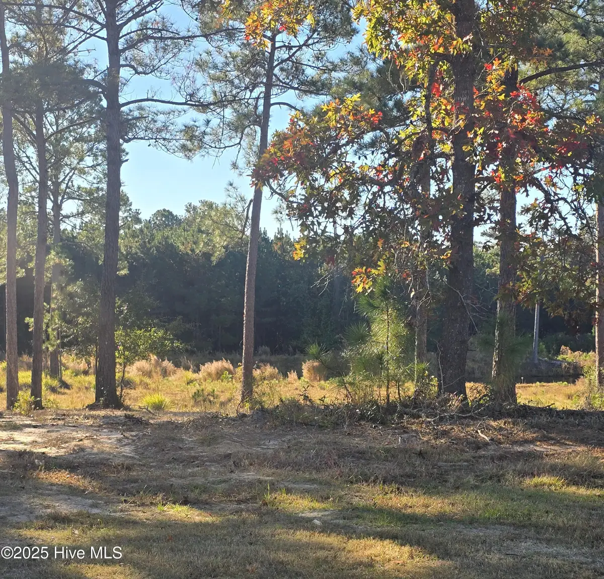 7507 Wallace Place Sw, Sunset Beach, NC 28468 - Image #1