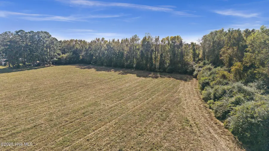 9.7 Acres S Us 117 Highway, Teachey, NC 28464 - Image #3