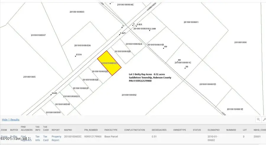 Lot 3 Hammonds Road, Lumberton, NC 28360 - Image #2