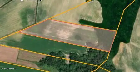 Parcel 4 Thunder Swamp Road, Mount Olive, NC 28365