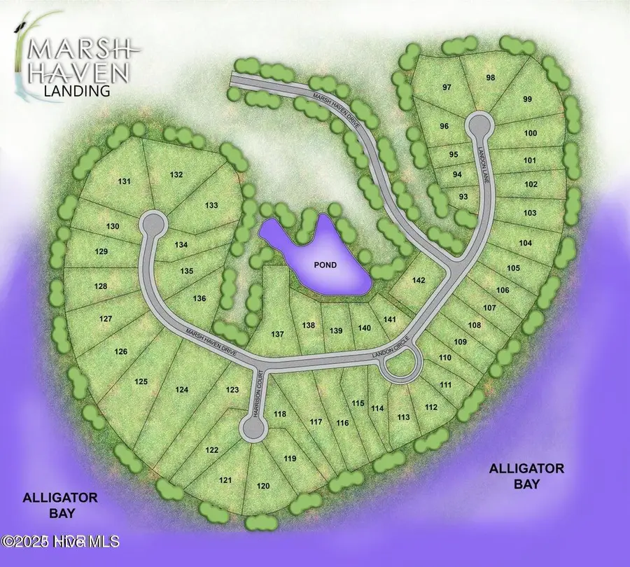 353 Landon Lane, Sneads Ferry, NC 28460 - Image #2