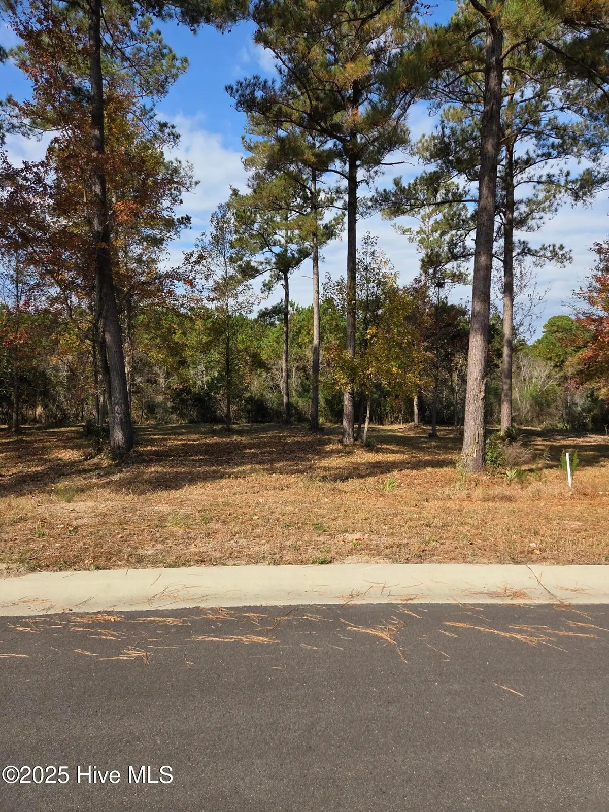 7475 Donegal Circle Sw, Sunset Beach, NC 28468 - Image #1