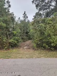 131 Powhatan Trail, Edenton, NC 27932 - Image #1