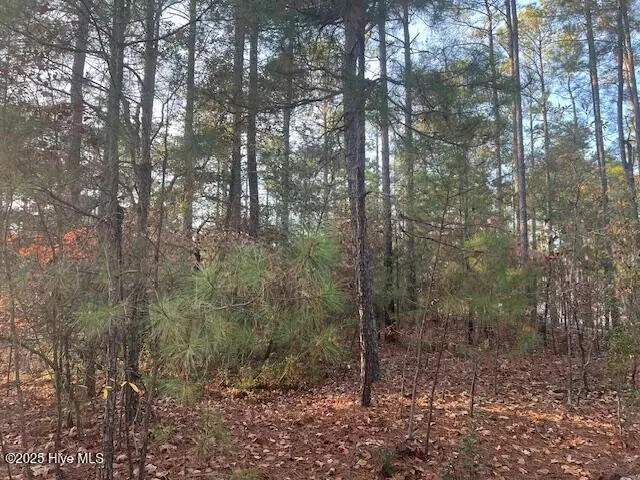 00 Mckenzie Lane, Aberdeen, NC 28315 - Image #2