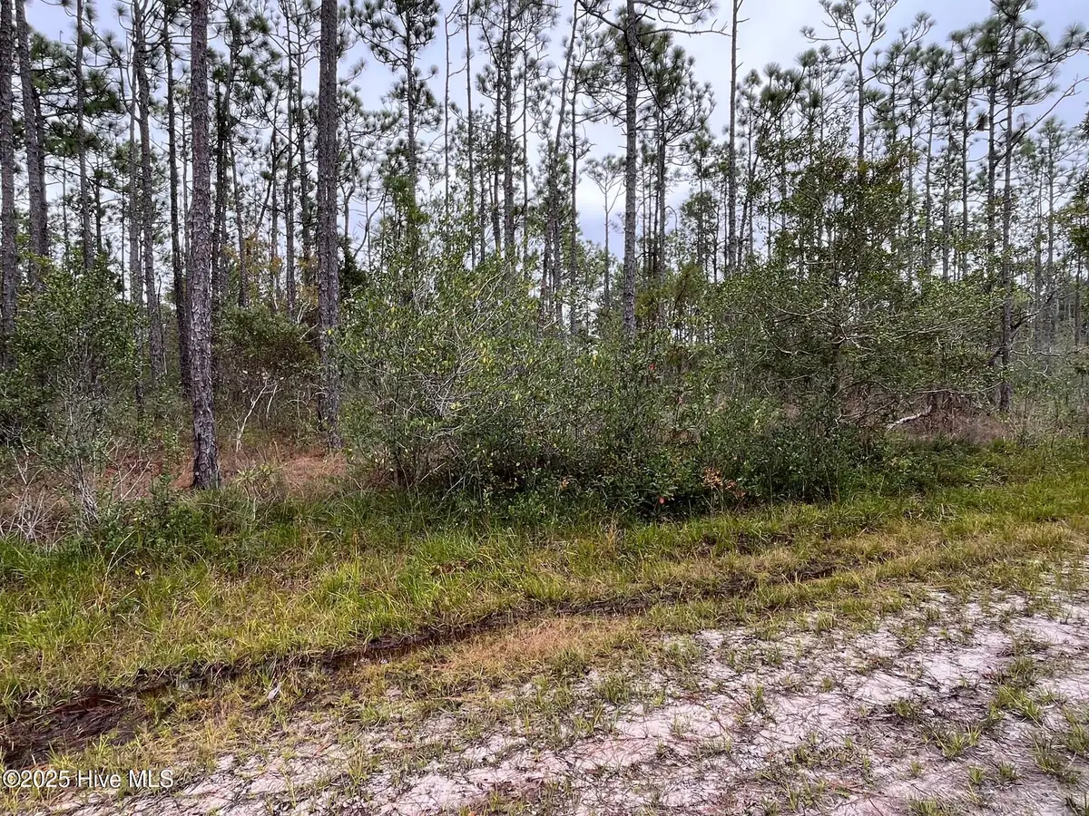 349 Magnolia Road, Southport, NC 28461 - Image #1