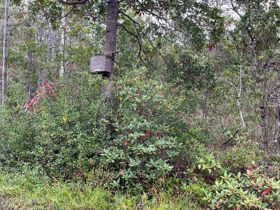 349 Magnolia Road, Southport, NC 28461 - Image #3