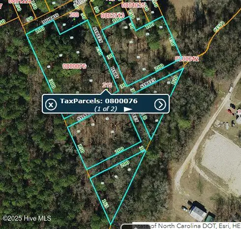 215 Hart Street, Snow Hill, NC 28580 - Image #1