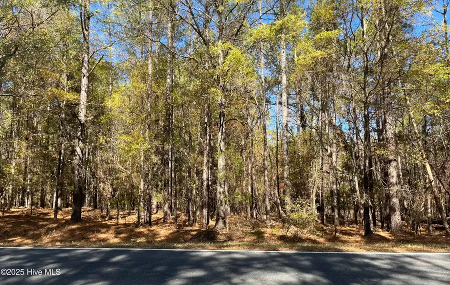 1646 Morgan Sellers Road, Wadesboro, NC 28170 - Image #2