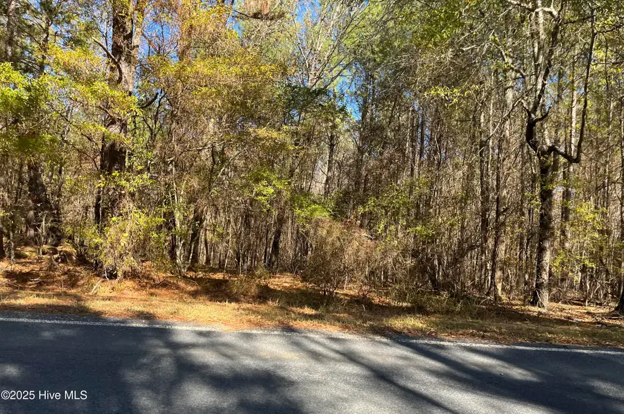 1646 Morgan Sellers Road, Wadesboro, NC 28170 - Image #3