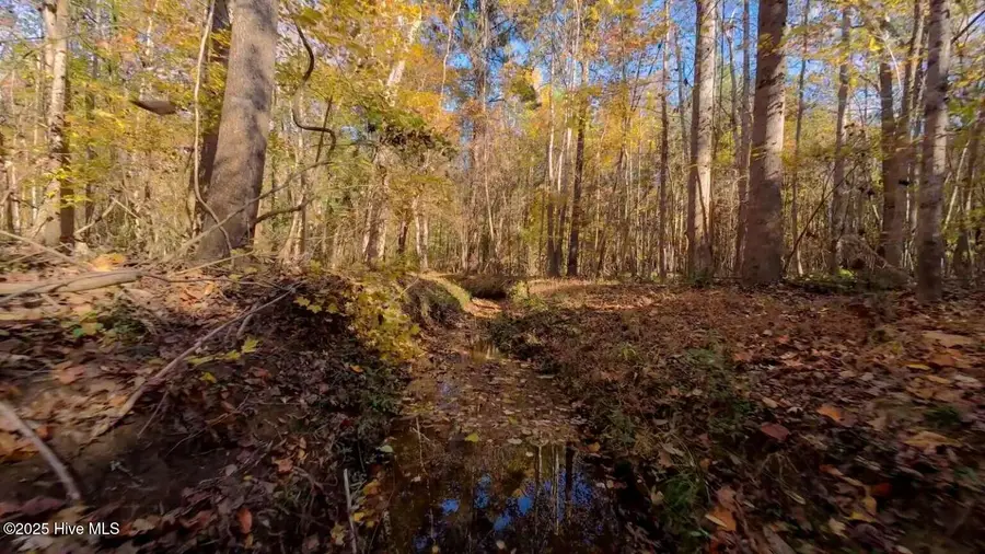 0 Nc Hwy 903, Littleton, NC 27850 - Image #2