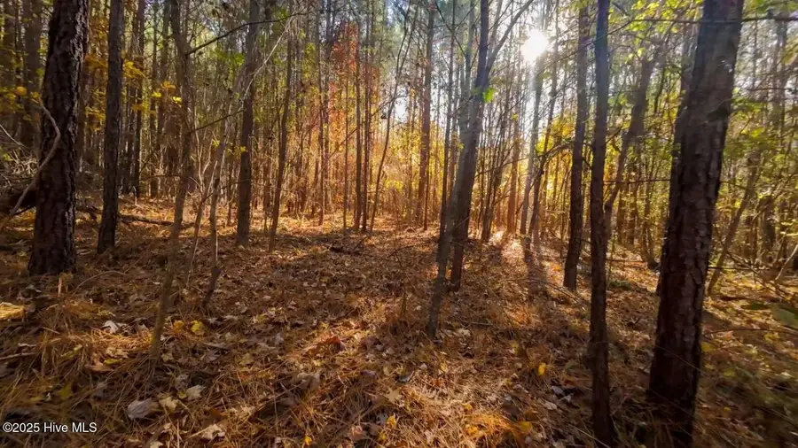 0 Nc Hwy 903, Littleton, NC 27850 - Image #3