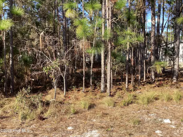 3094 Cross Street Sw, Shallotte, NC 28470