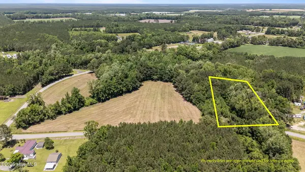 490 Newtown Loop Road, Atkinson, NC 28421