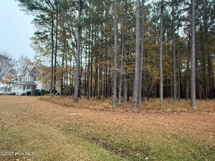 13 Mattaponi Drive, Hertford, NC 27944 - Image #3