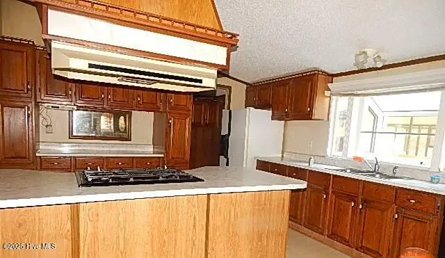 149 Jeff Murphy Lane, Magnolia, NC 28453 - Image #3