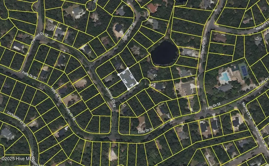 664 Cypress Grove Court Se, Bolivia, NC 28422 - Image #3