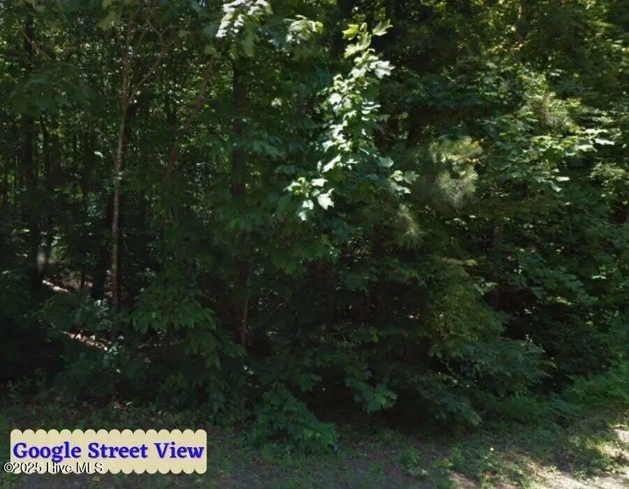 Tbd Country Canyon Drive, Cordova, NC 28330 - Image #3
