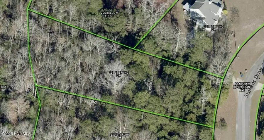 113 Sterling Drive, Sneads Ferry, NC 28460 - Image #2