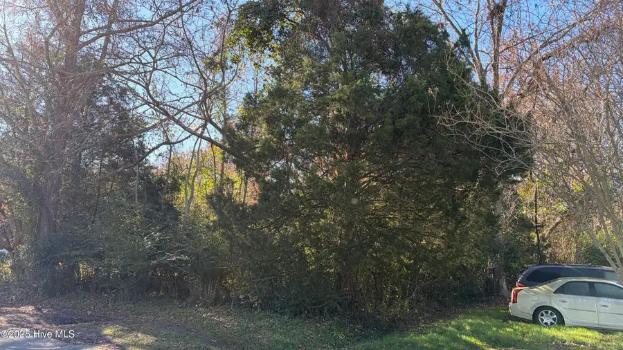 0 George Street, Belhaven, NC 27810 - Image #3