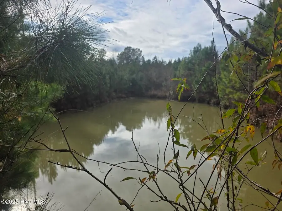 9093 Near 9093 Joe Brown Highway N, Bladenboro, NC 28320 - Image #3