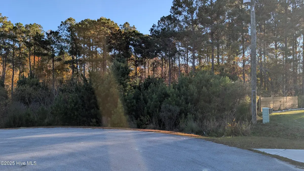 314 Livingston Court, Holly Ridge, NC 28445 - Image #1